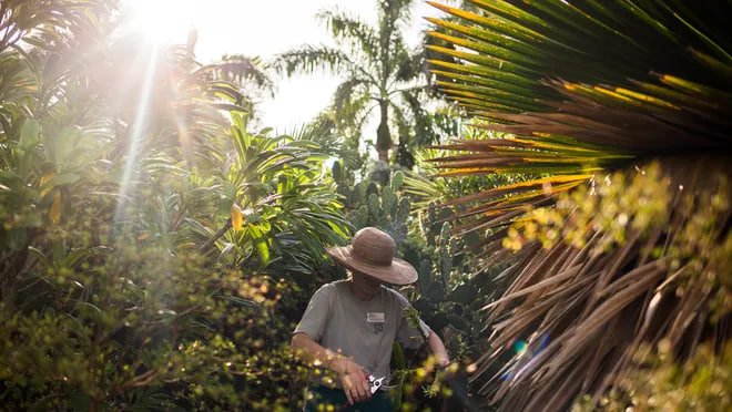 Naples Botanical Garden has long been a gem of Southwest Florida. Over the years, it has transformed into a world-class nature lovers